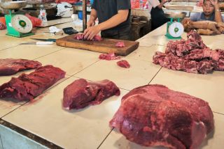 Sinyal Ramadan Terasa, Harga Daging Sapi di Pasar Sail Alami Kenaikan Tipis