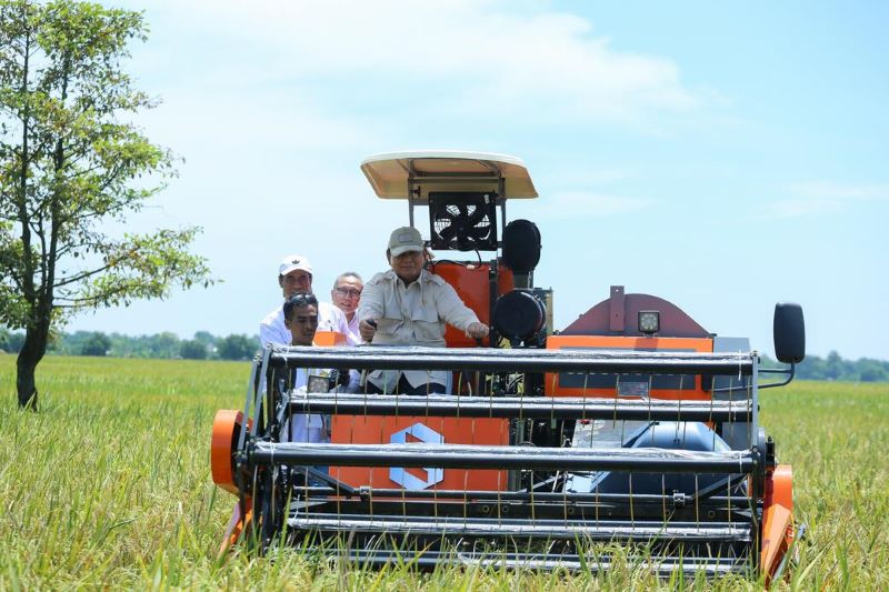 Cadangan Beras Melebihi 3,7 Juta Ton, Indonesia Menuju Kemandirian Pangan?