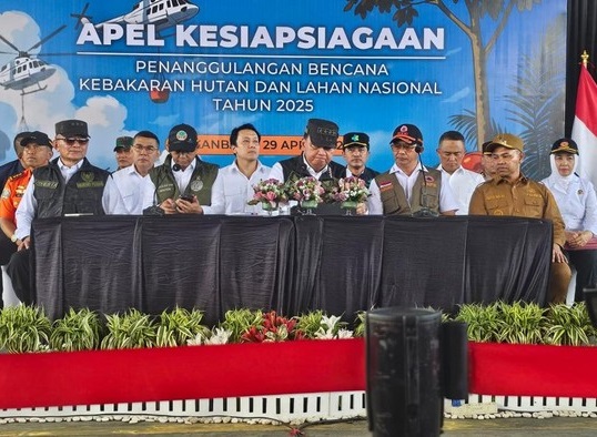 144 Titik Api, 81 Hektare Terbakar: Riau Resmi Darurat Karhutla